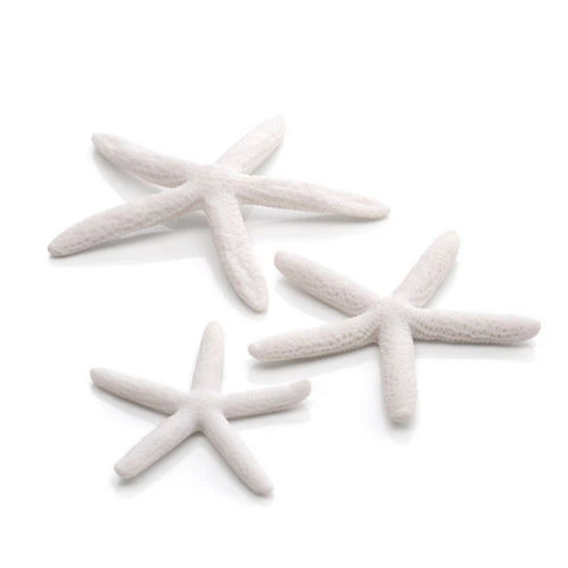 Набор белых морских звезд, Starfish set 3 white