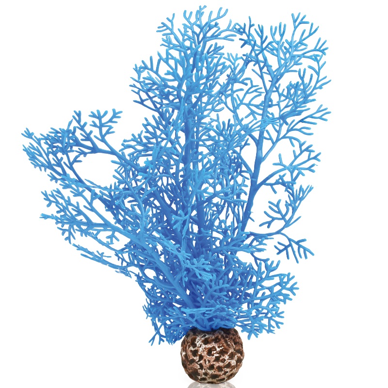 Синий веер, Sea fan small blue