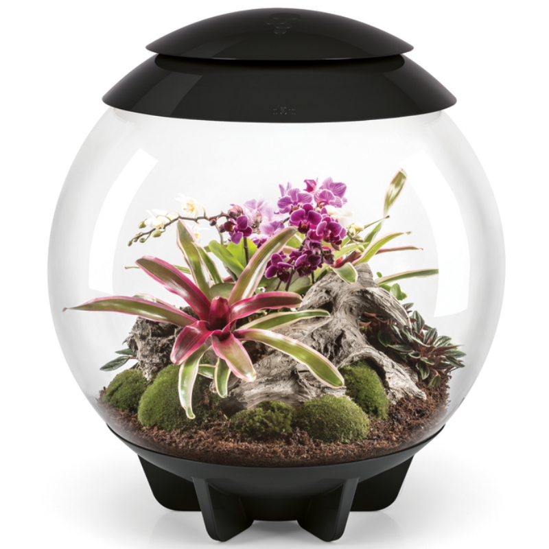 Флорариум biOrb AIR 60 Black   Флорариум biOrb AIR 60 Black