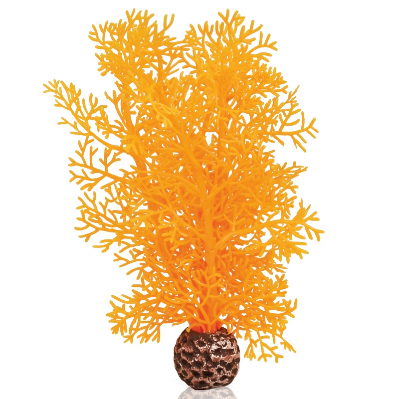 Оранжевый веер, Sea fan small orange