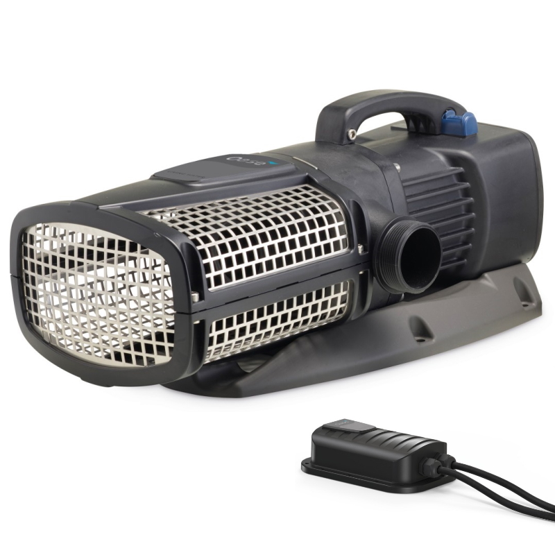 Насос AquaMax Eco Expert 20000/12V