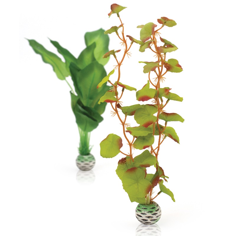 Набор "Зеленого цвета", "Silk plant set medium green"