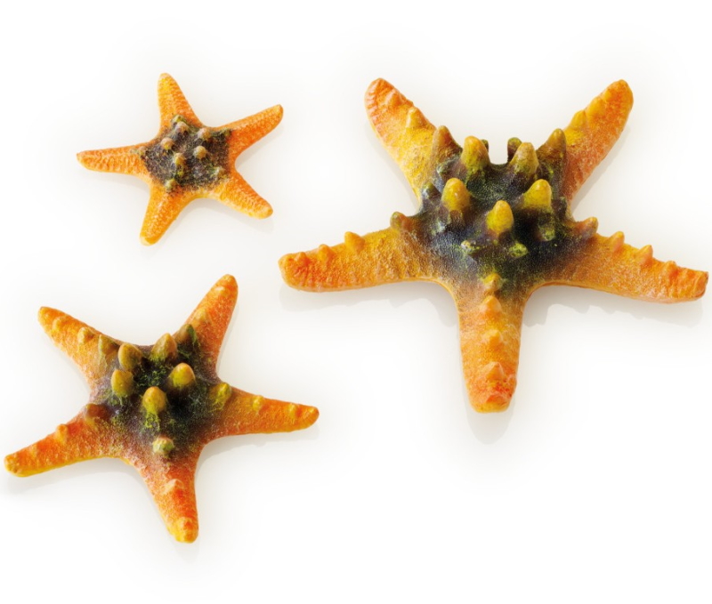 Набор жёлтых морских звезд, Sea Star 3 yellow