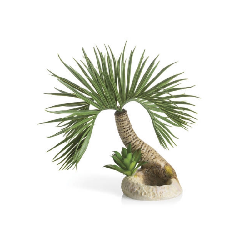 Декоративный элемент "Пальма", Palm tree Seychelles S