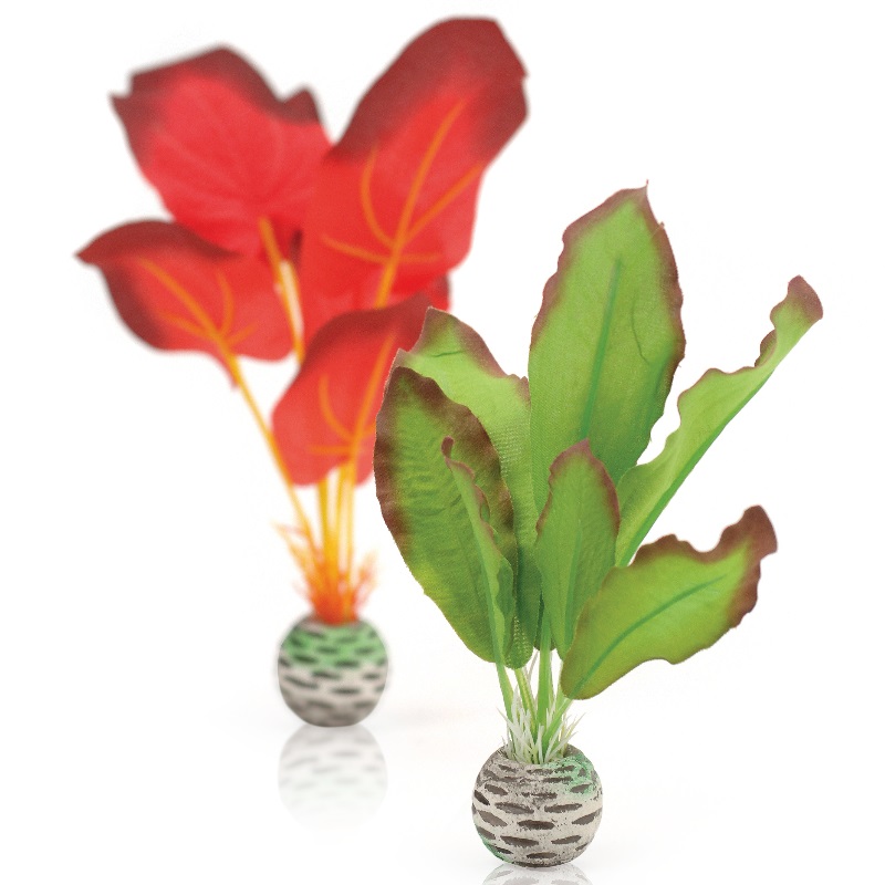 Набор "Зеленый-красный" Silk plant set small green-red