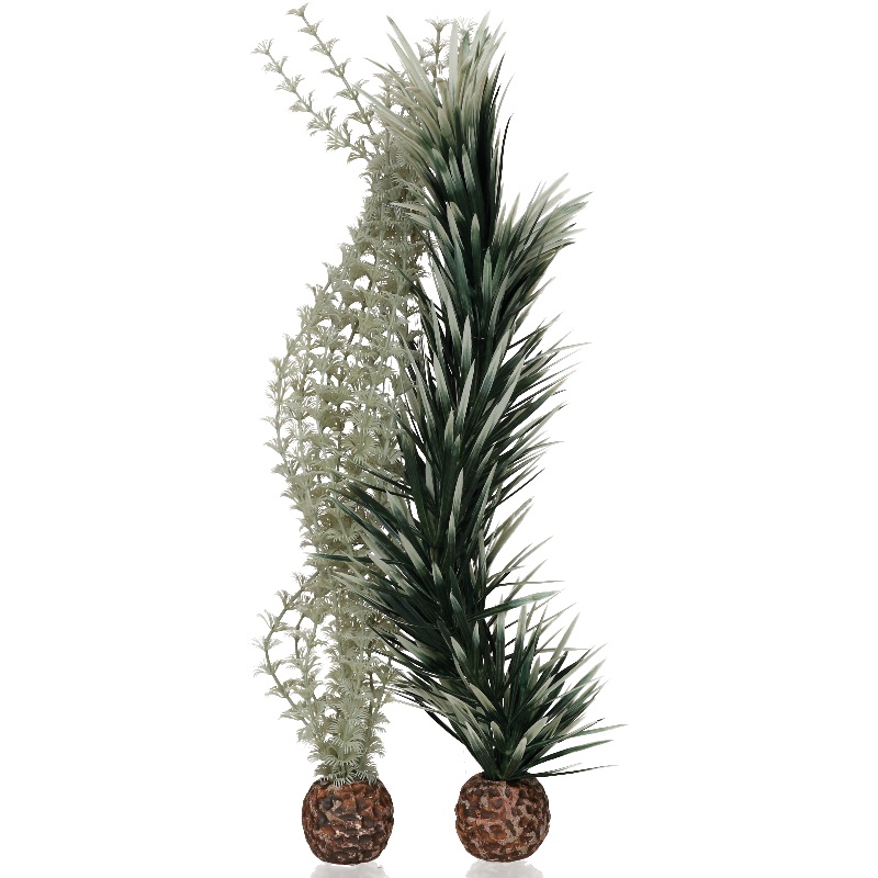 Набор "Амбулия", biOrb ambulia grey/green L