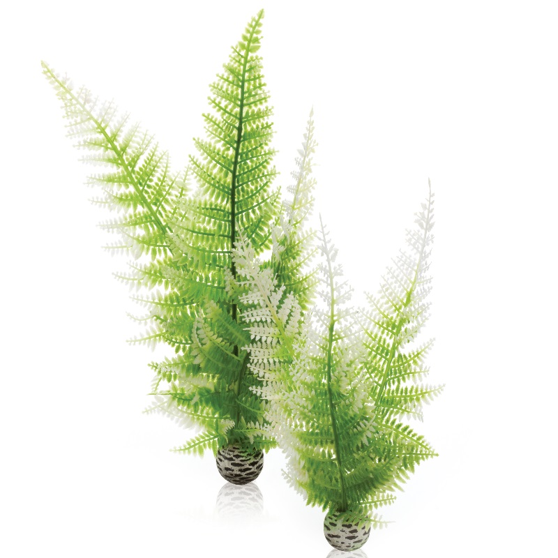 Набор "Зимний папоротник" Aquatic winter fern set 2
