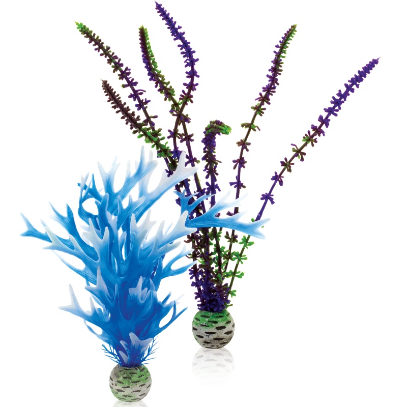 Набор "Синий и фиолетовый", Plant set medium blue-purple