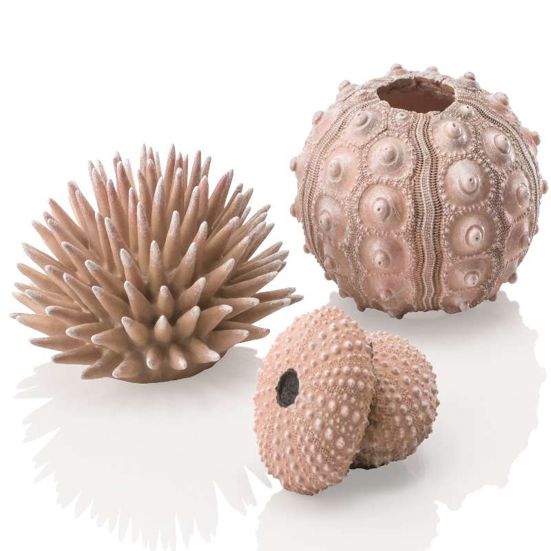 Набор "Морской ёж", sea urchins set natural