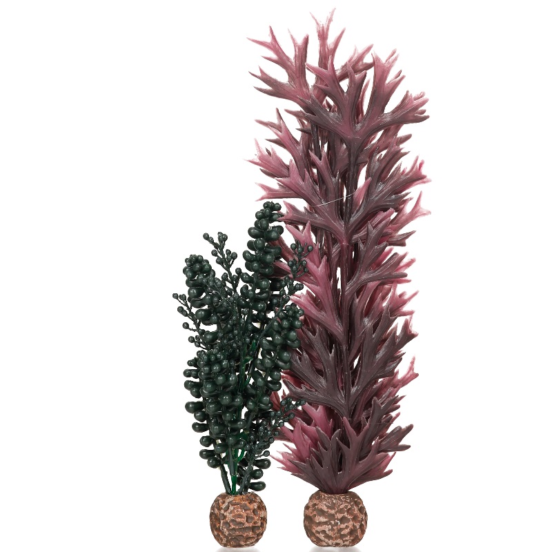 Набор "Бисер и ламинария", biOrb seapearls - kelp dark green   