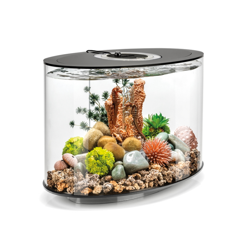 Аквариум biOrb LOOP 15 MCR black