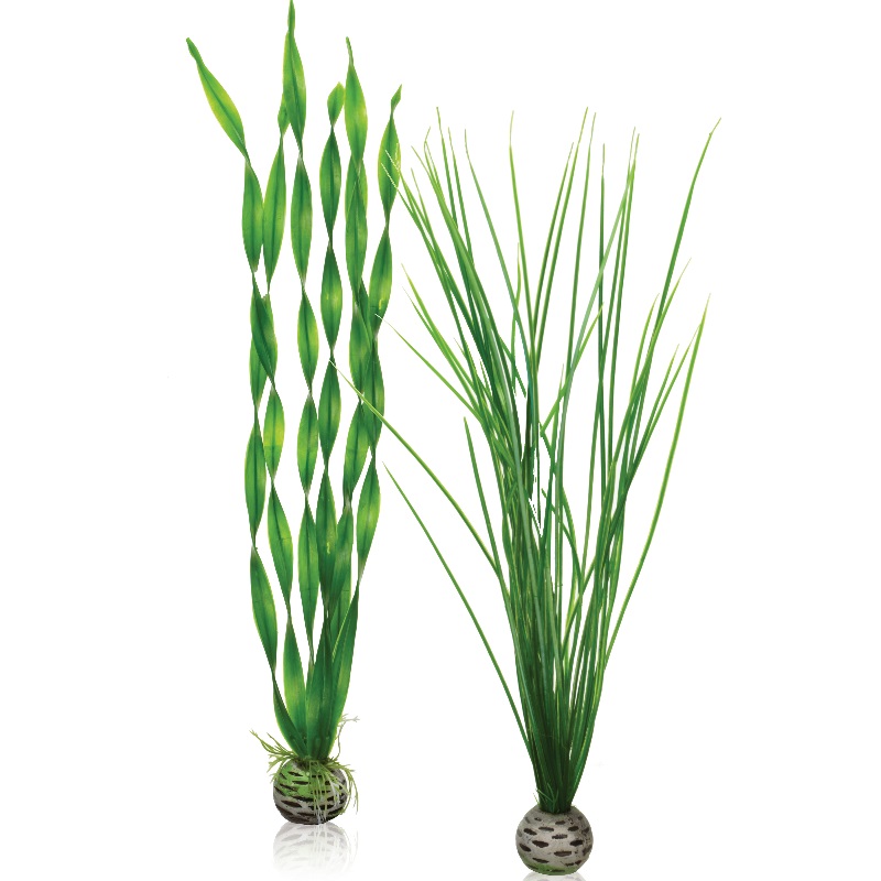 Набор "Зеленые растения" Easy plant set tall green