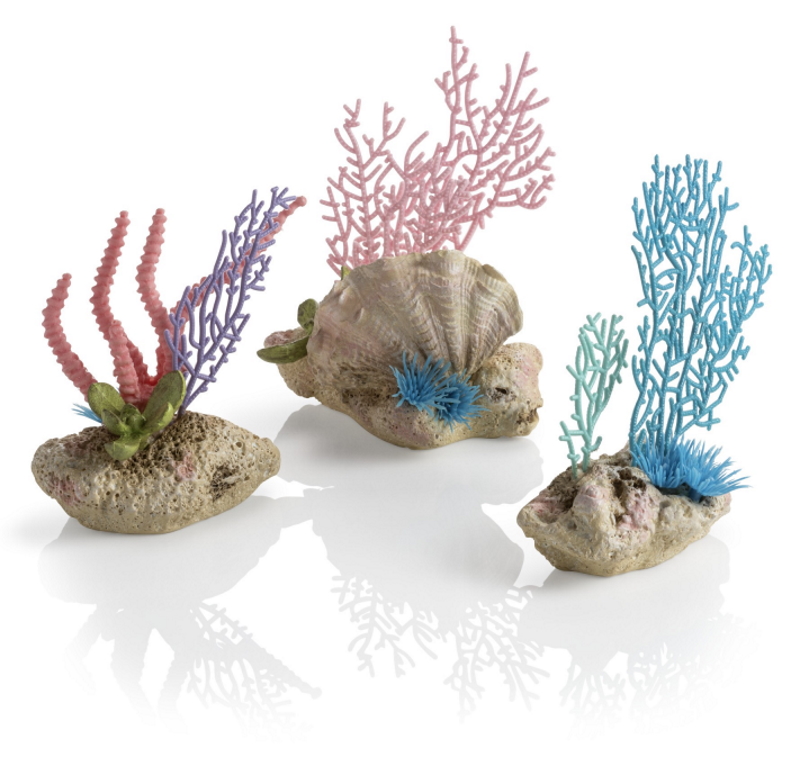 Набор "Коралловый веер и ракушки", Coral fans & shells set  