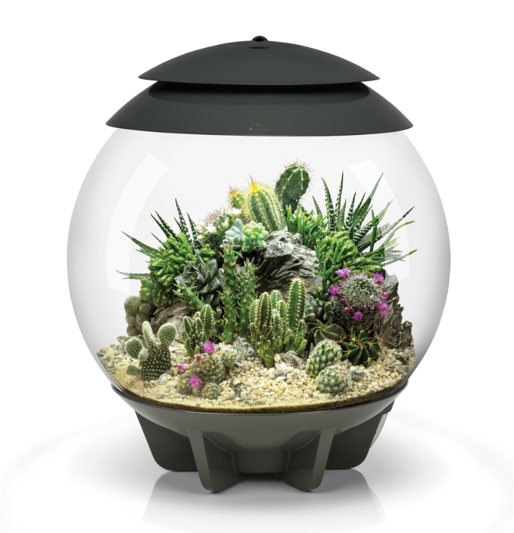 Флорариум, biOrb AIR 30 grey  