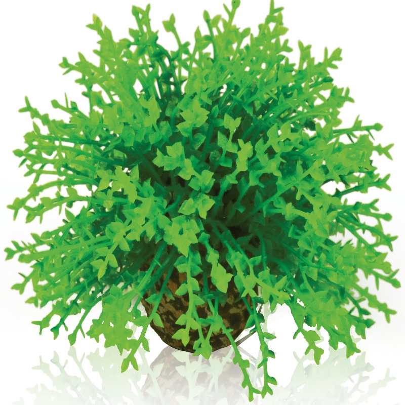 Зеленый цветочный шар, Flower ball green