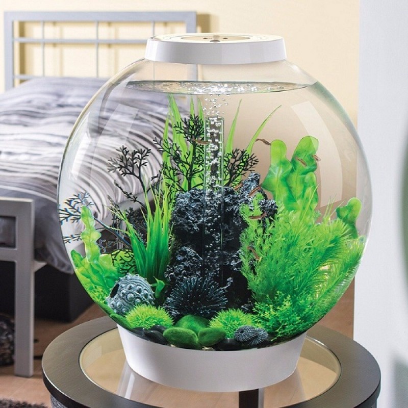 Аквариум biOrb Classic 60 LED Thermo white