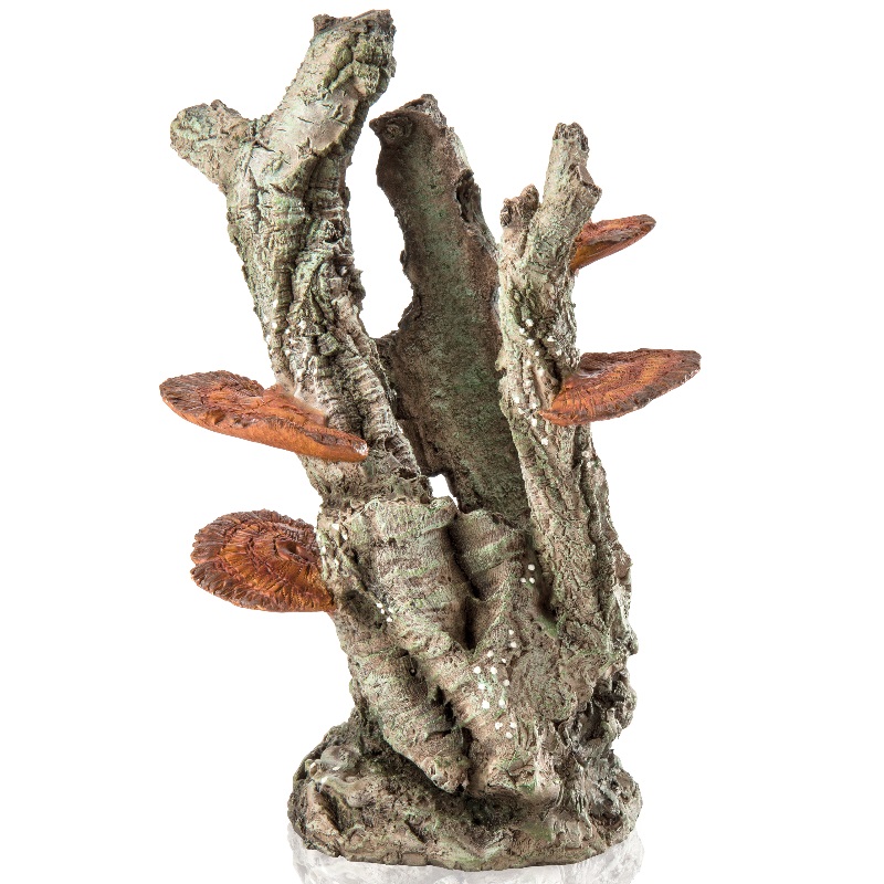 Декоративный элемент "Гриб на бересте", fungus on bark ornament