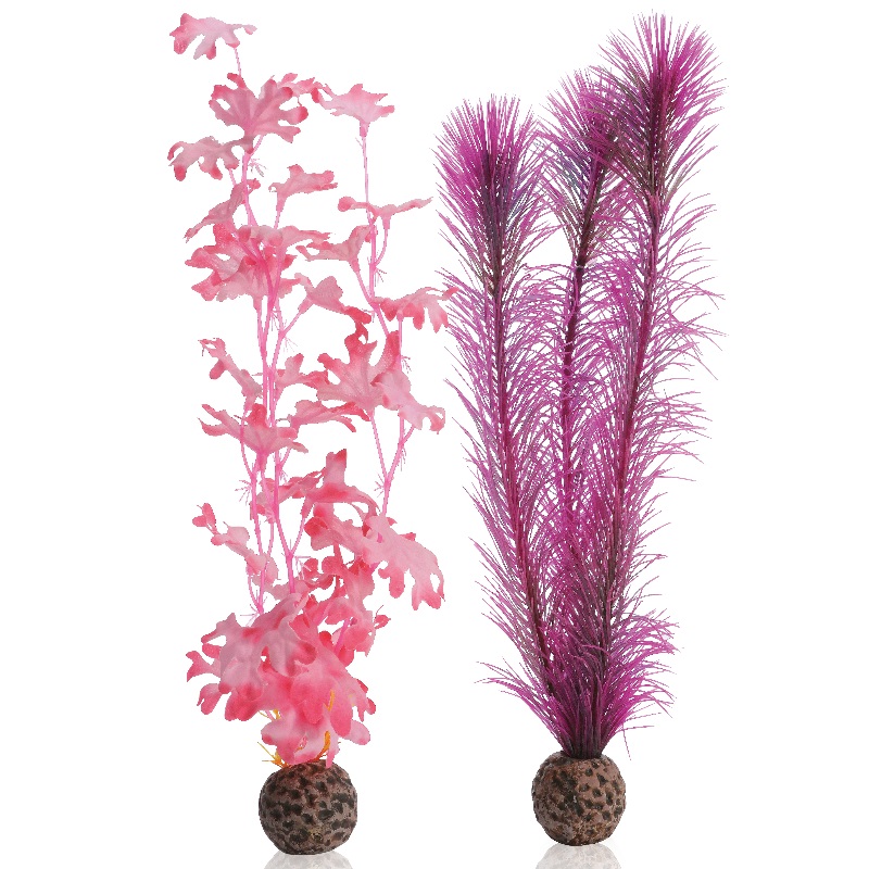 Набор "Розовая ламинария",  Kelp set medium pink