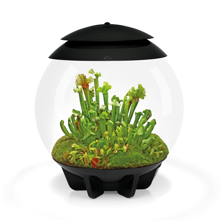 Флорариум biOrb AIR 30 Black   Флорариум biOrb AIR 30 Black