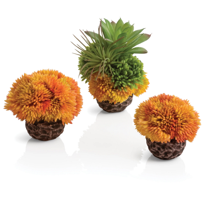 Набор оранжевые коралловые шары, Coral ball set orange 