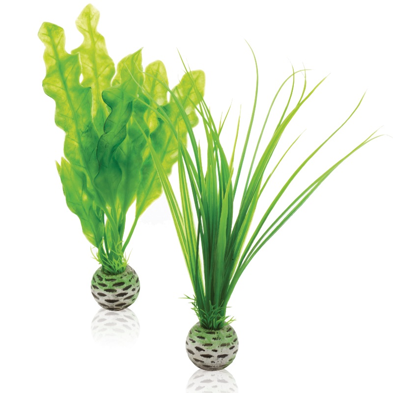 Набор "Зеленые растения" Easy plant set small green