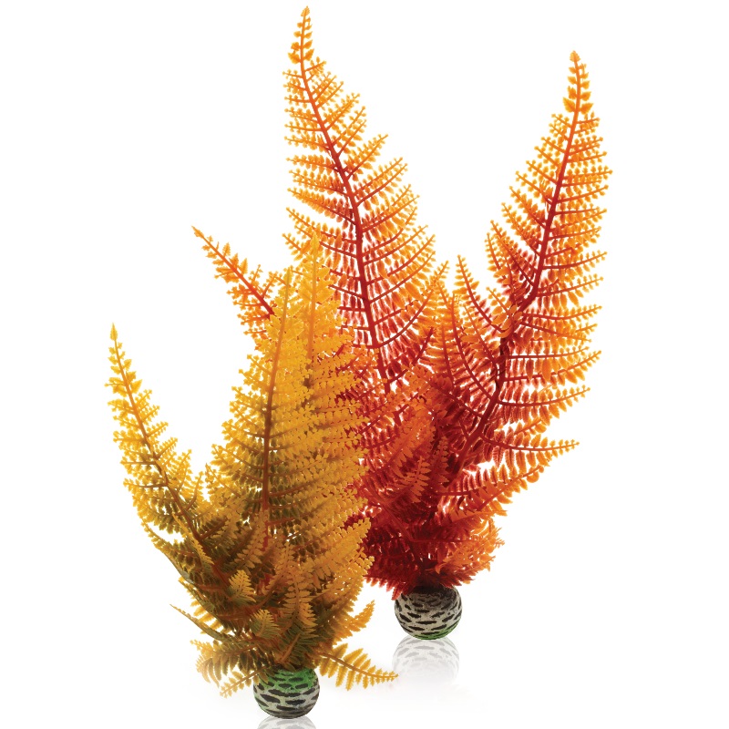 Набор "Осенний папоротник" Aquatic autumn fern set 2