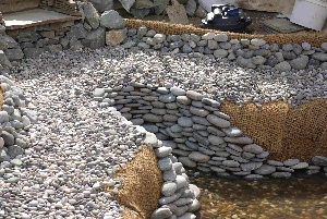 p.8.2_16m.jpg p.8.2_16m.jpg