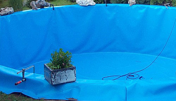 Пленка  и ее свойства