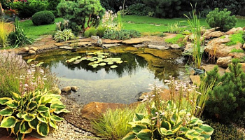 Виды декоративных водоемов для сада